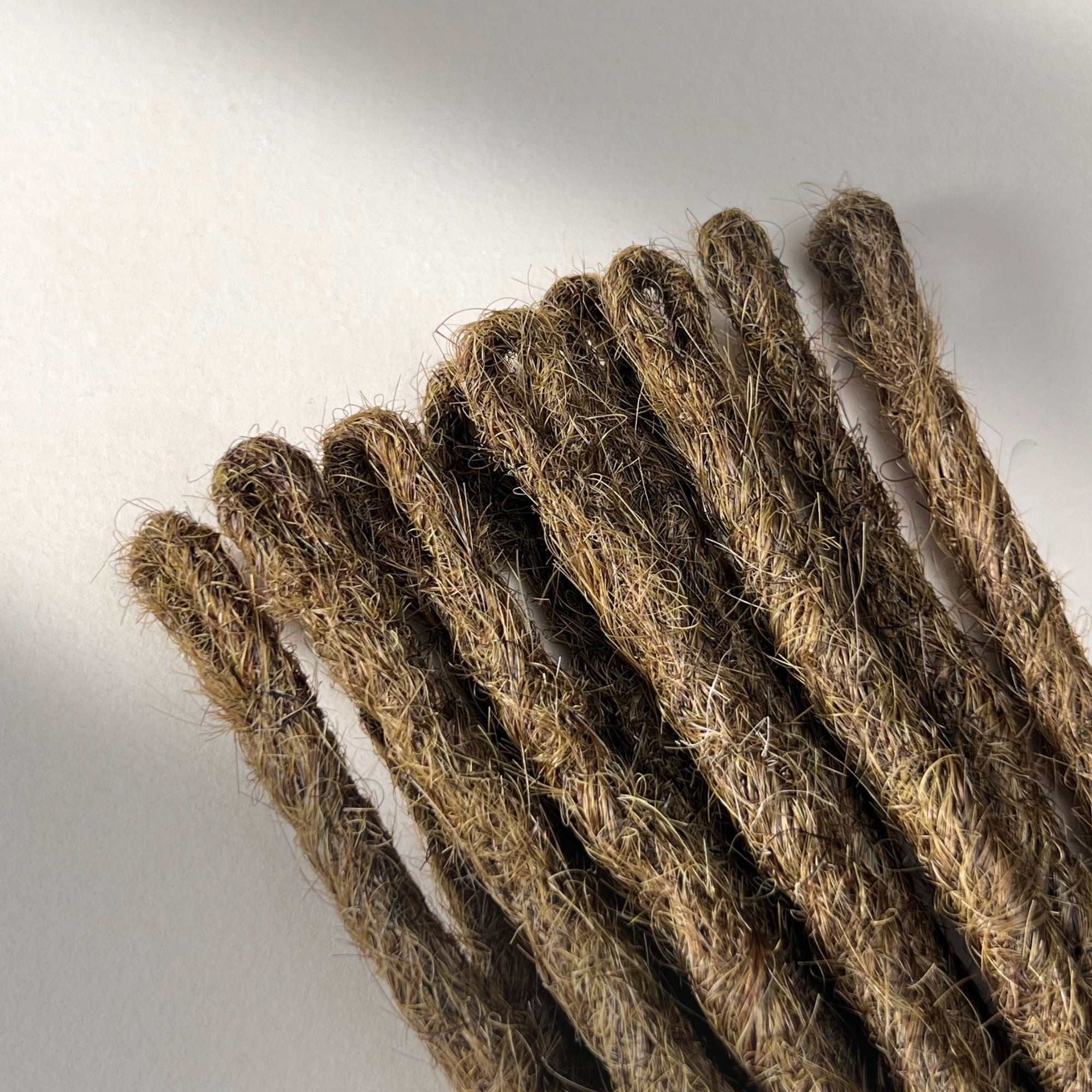 Straight Locs | Pure Source