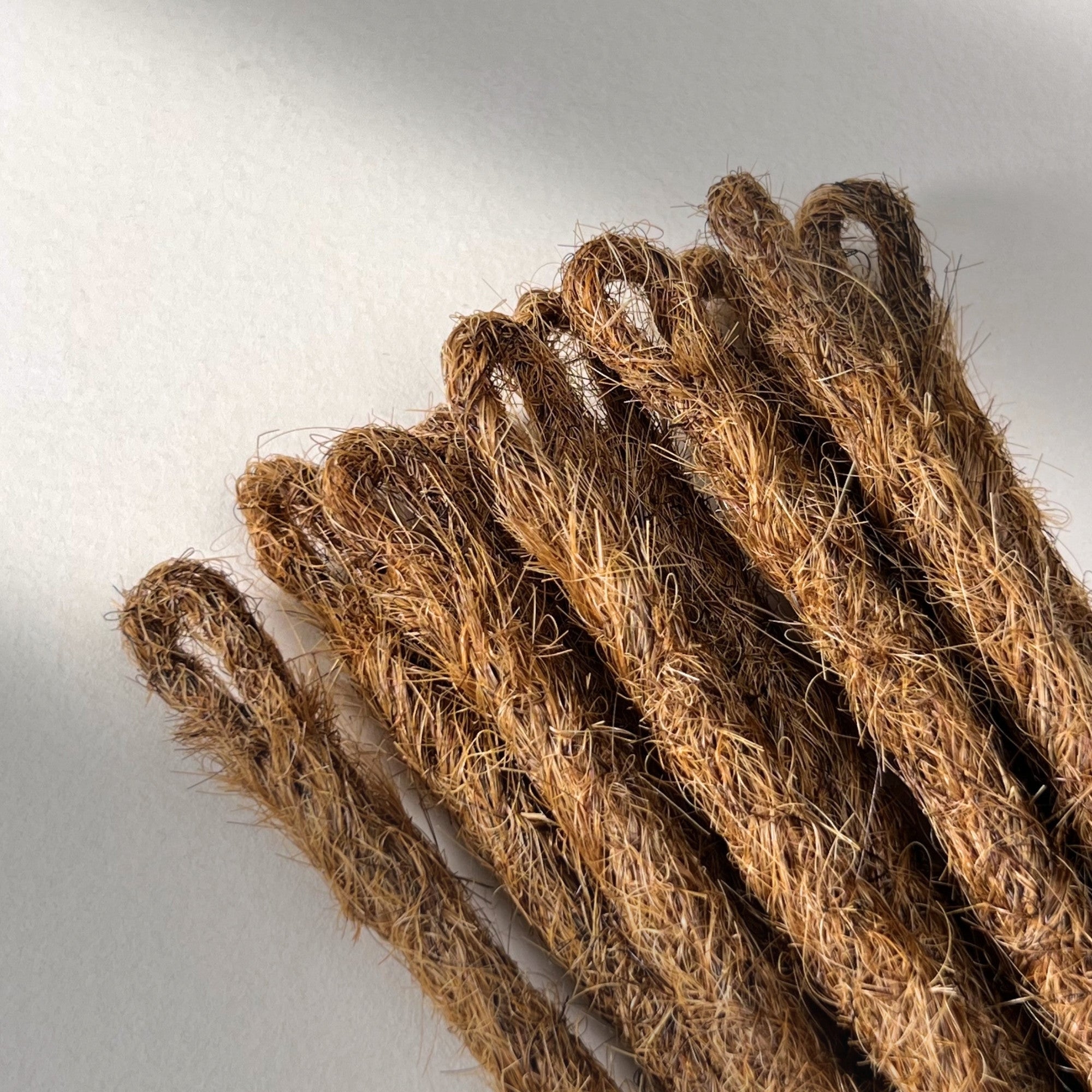Straight Locs | Rufous