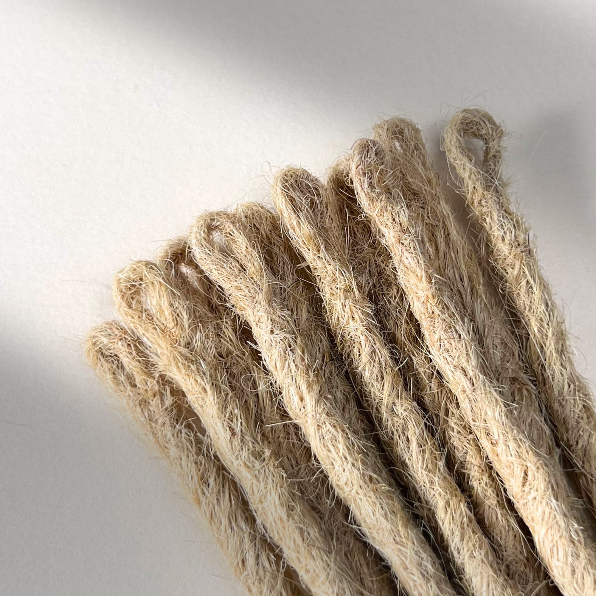 Straight Locs | Oat Milk