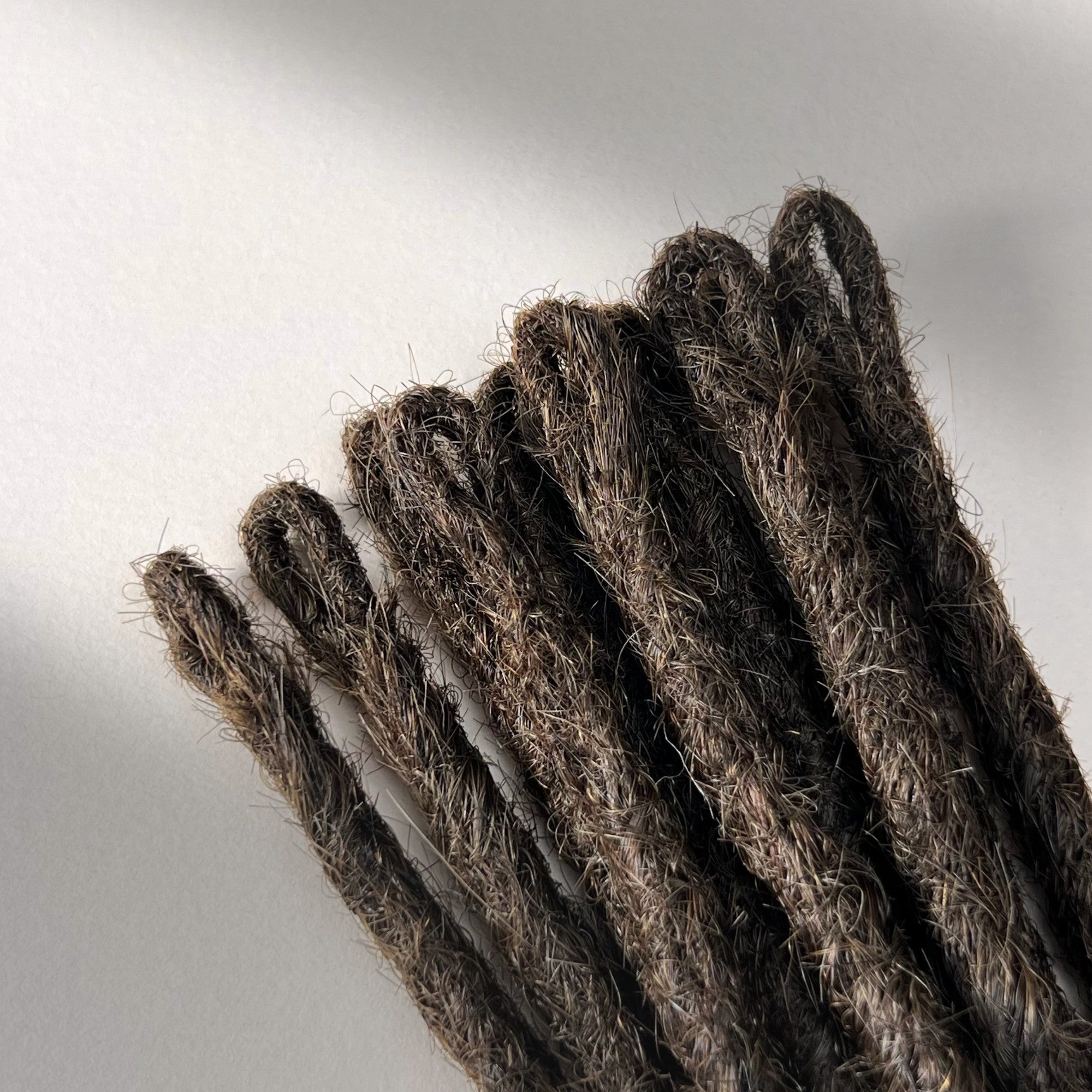 Straight Locs | Dark Wenge