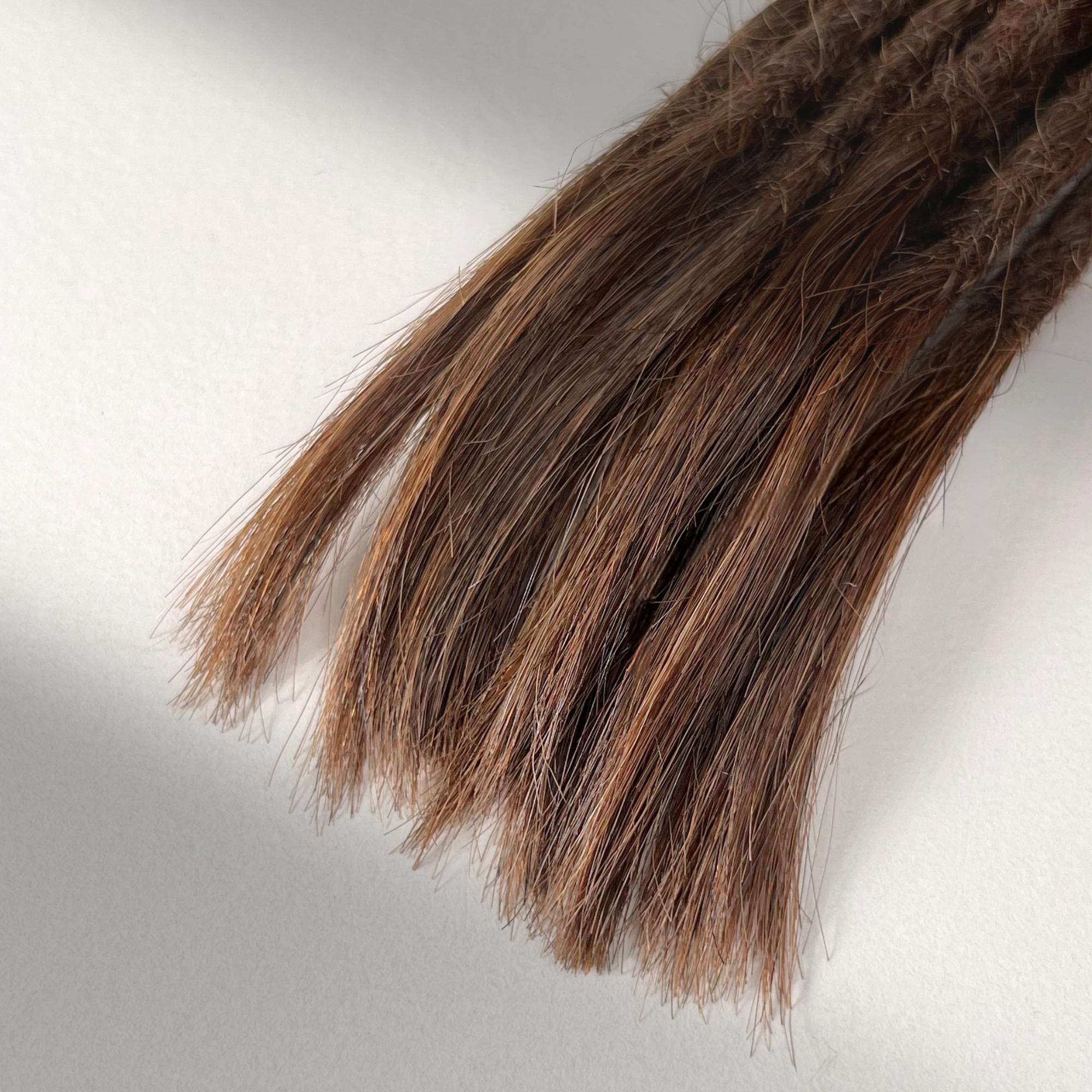 Straight Locs | Spicy Cinnamon