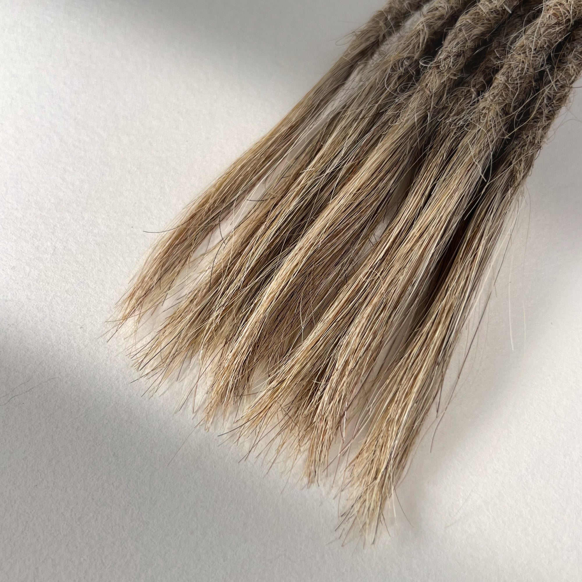 Straight Locs | Beach House 8C | Open Ends