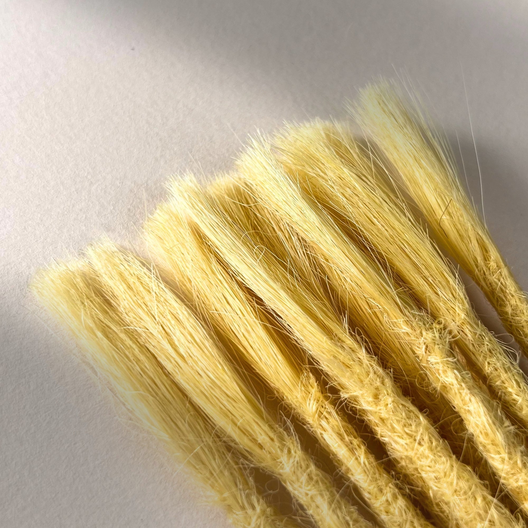 Straight Locs | Yellow Ochre Y01 | Open Ends