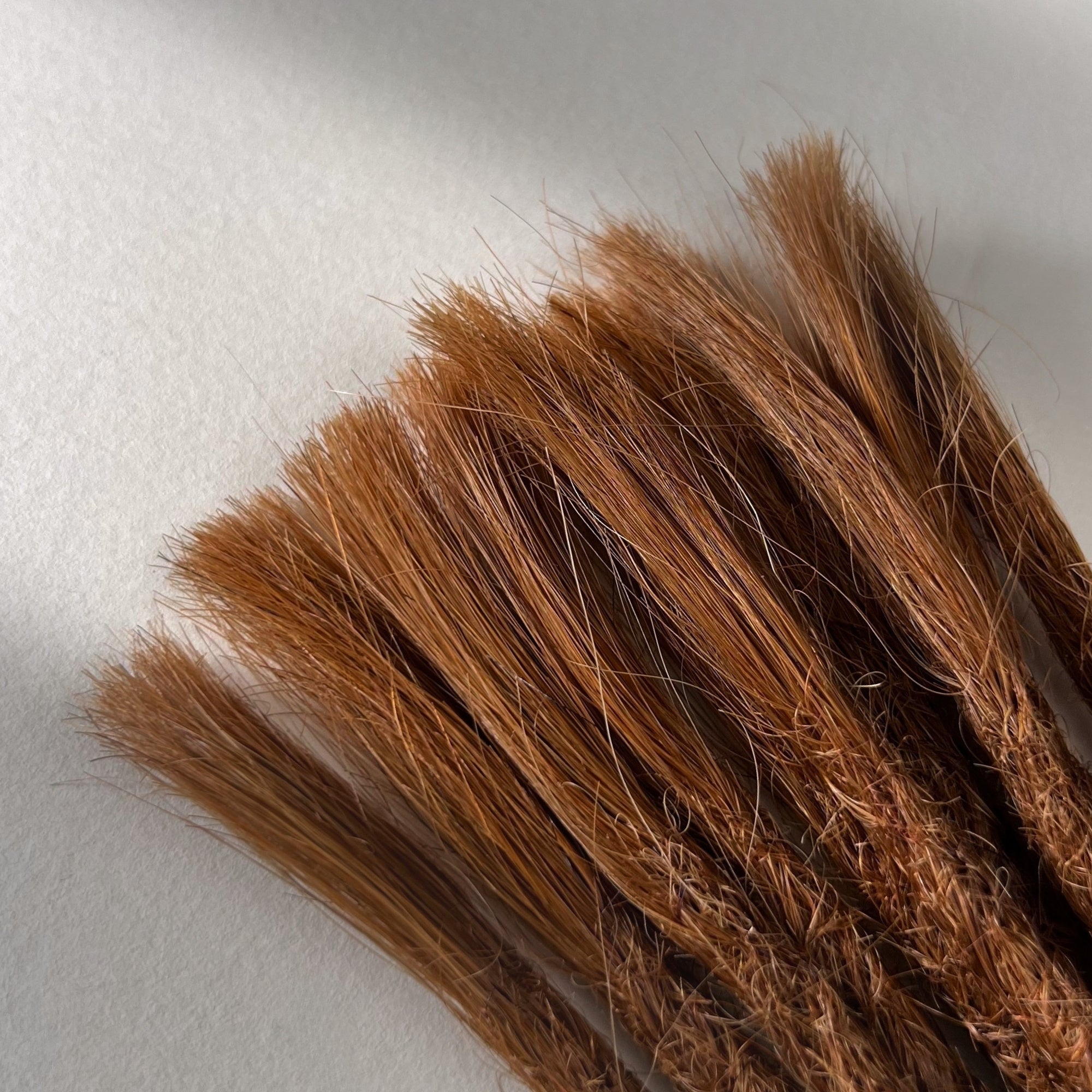 Straight Locs | Burnt Sienna