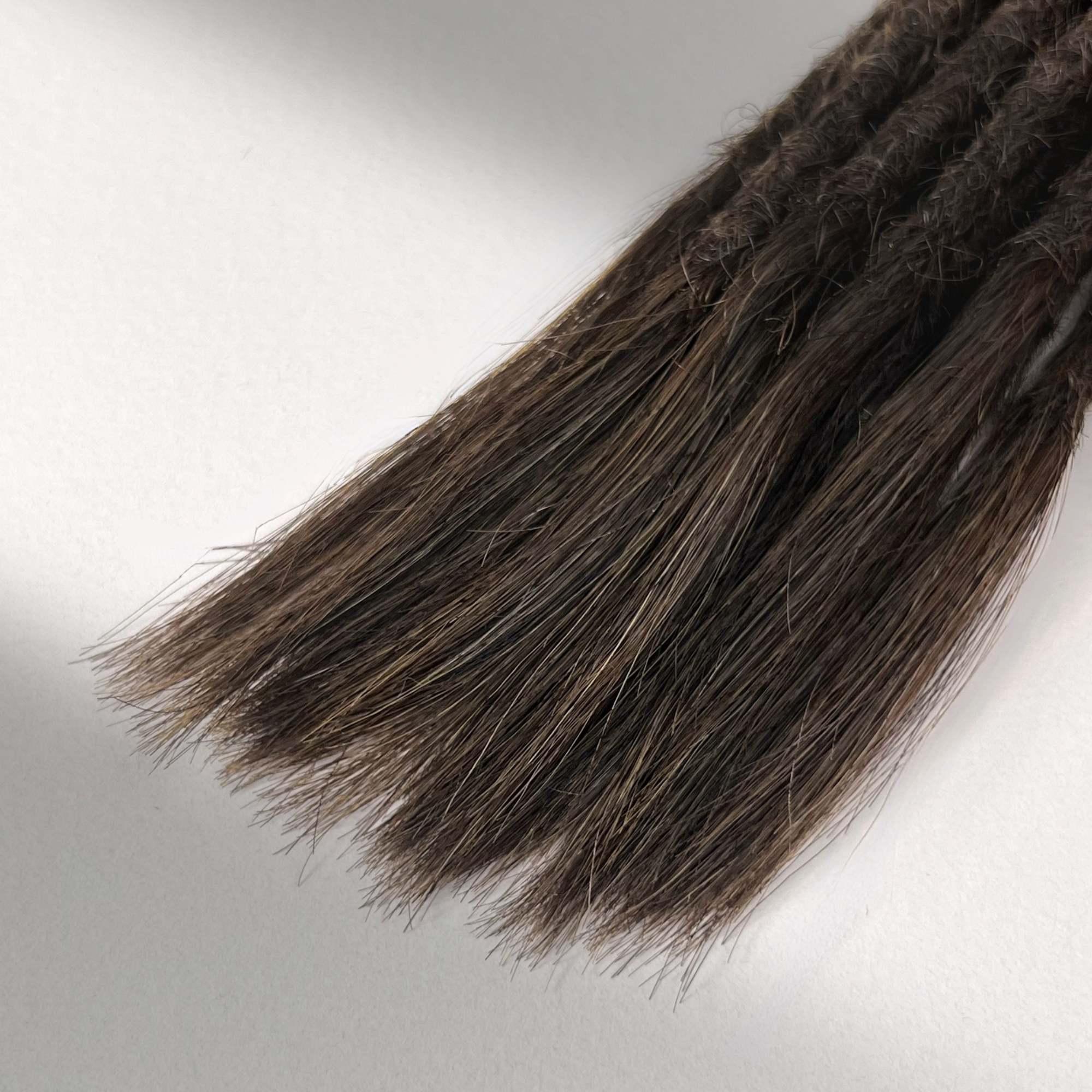 Straight Locs | Dark Wenge