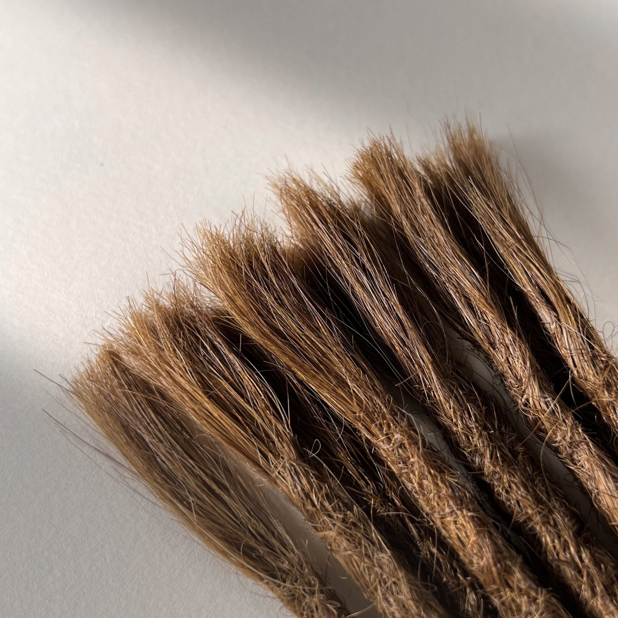 Straight Locs | Tiger Oak