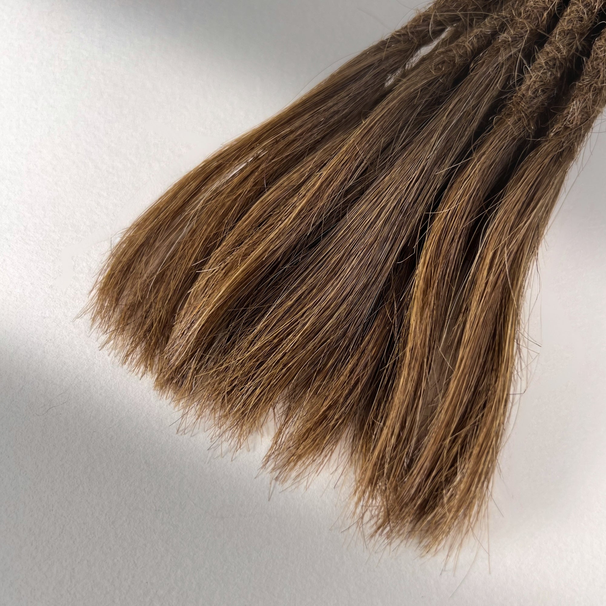 Straight Locs | Tiger Oak