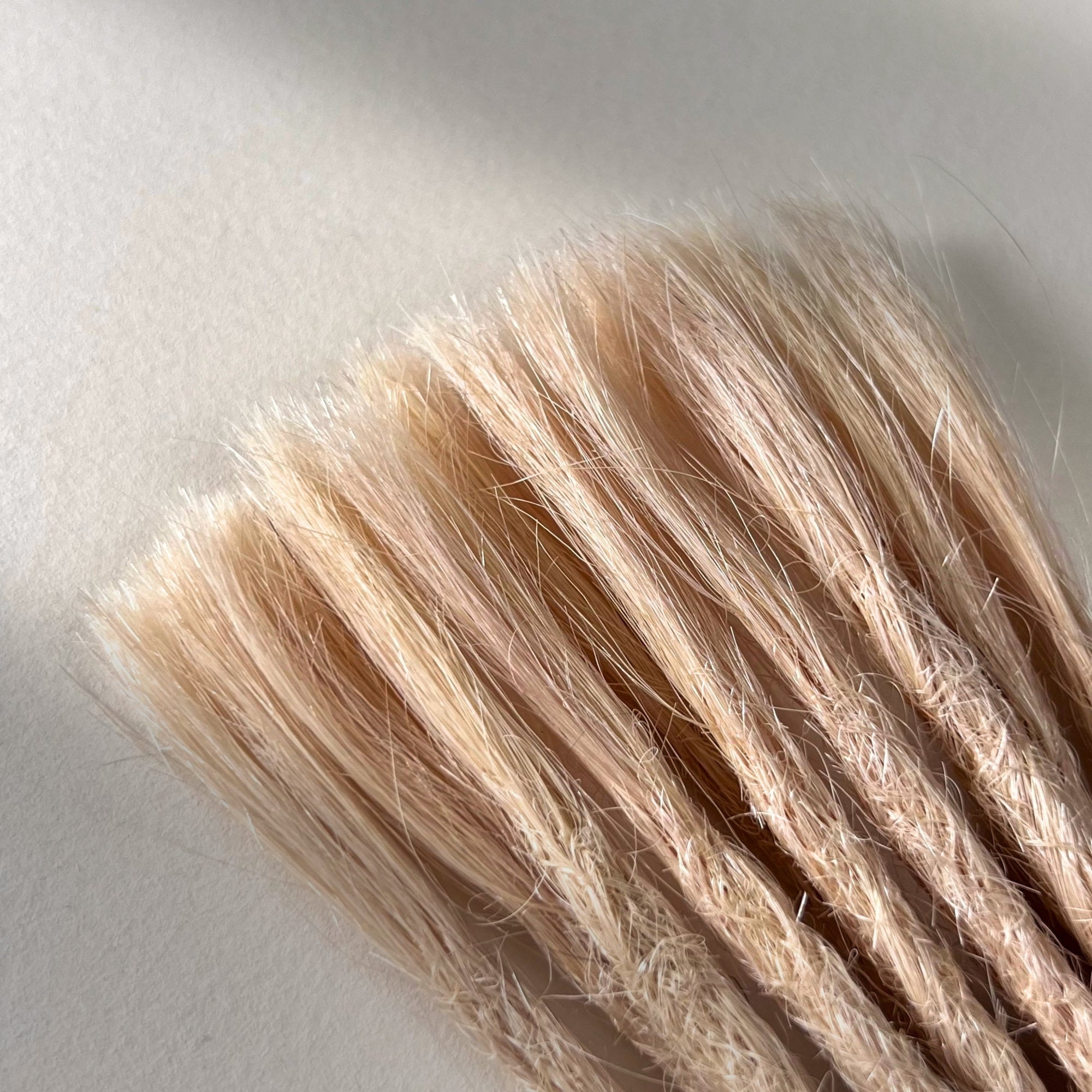 Straight Locs | Pale Dogwood 10G | Open Ends