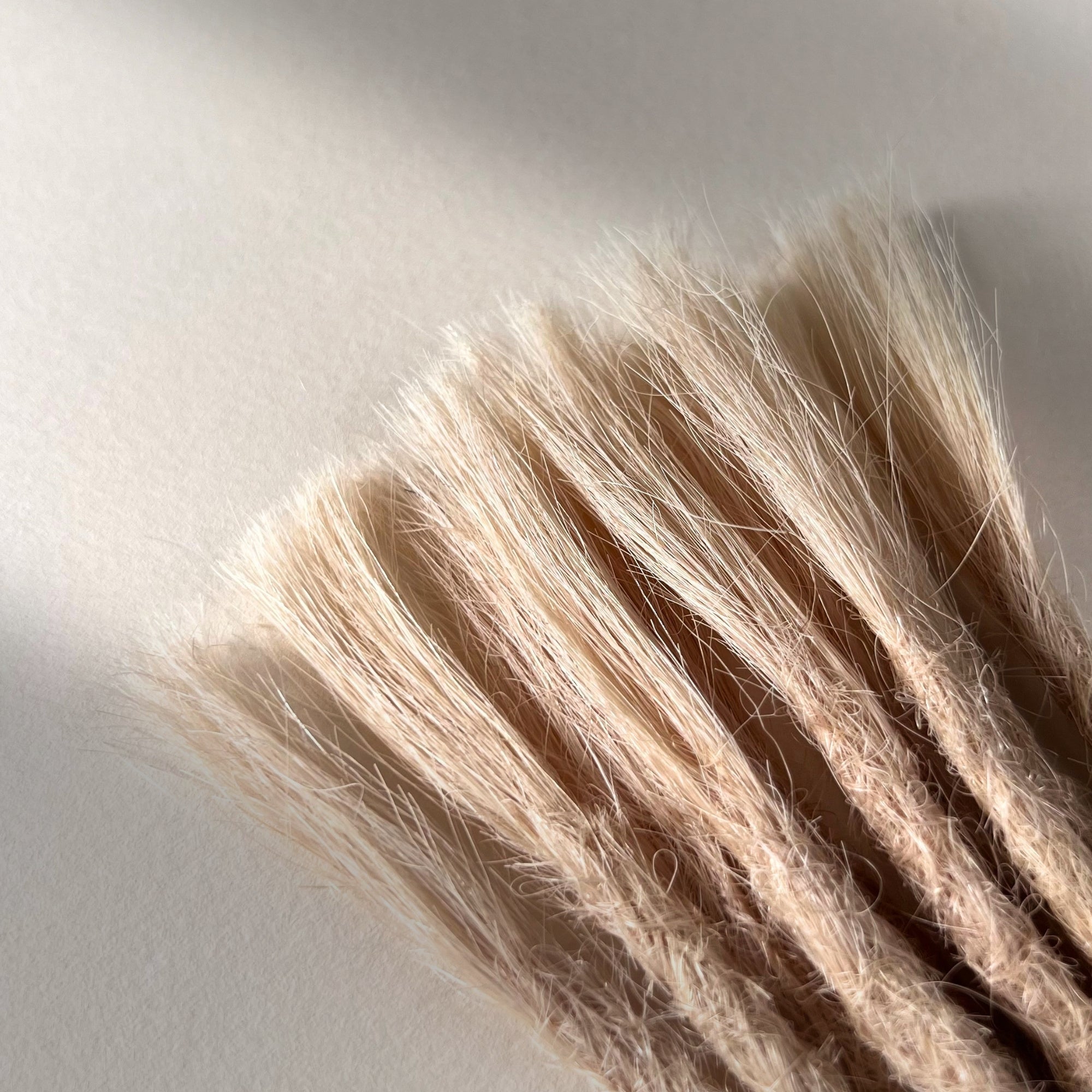 Straight Locs | Black Page 10F | Open Ends