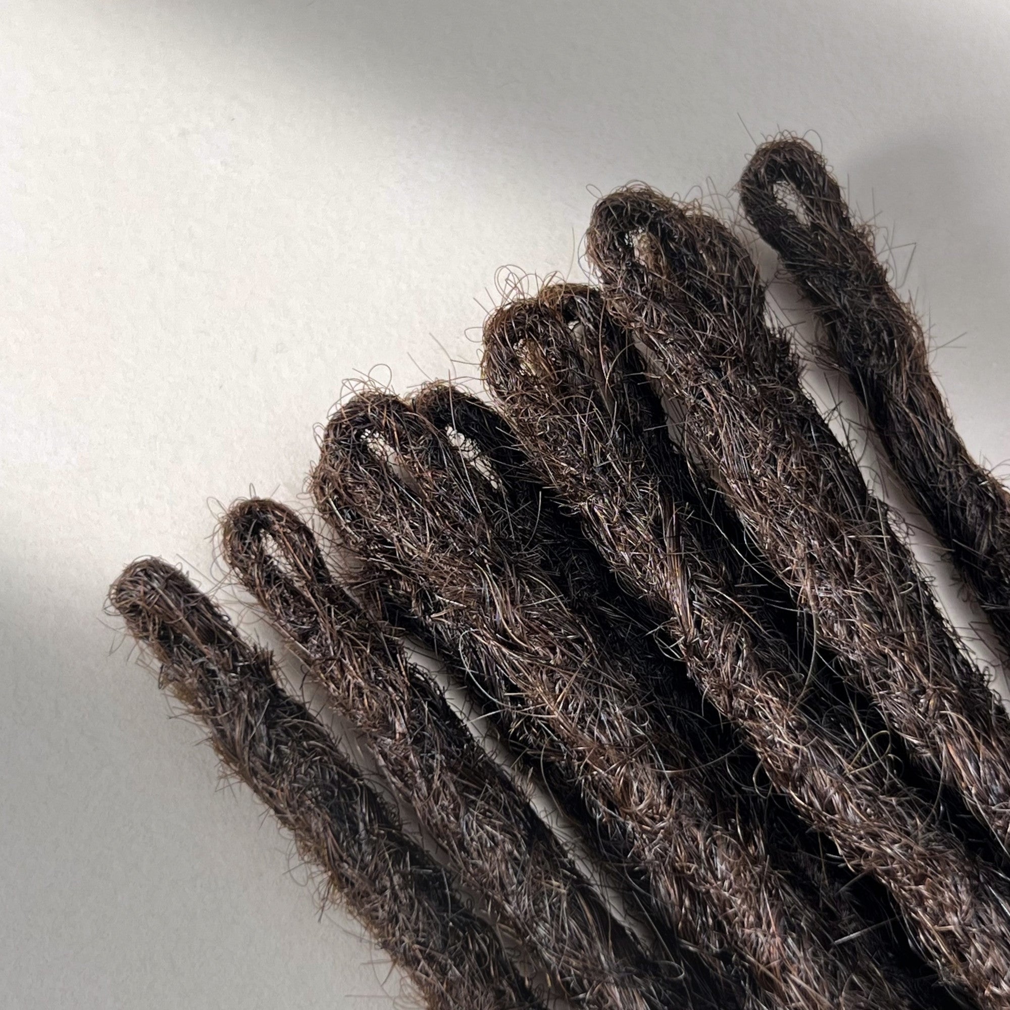 Straight Locs | Burnt Sugar