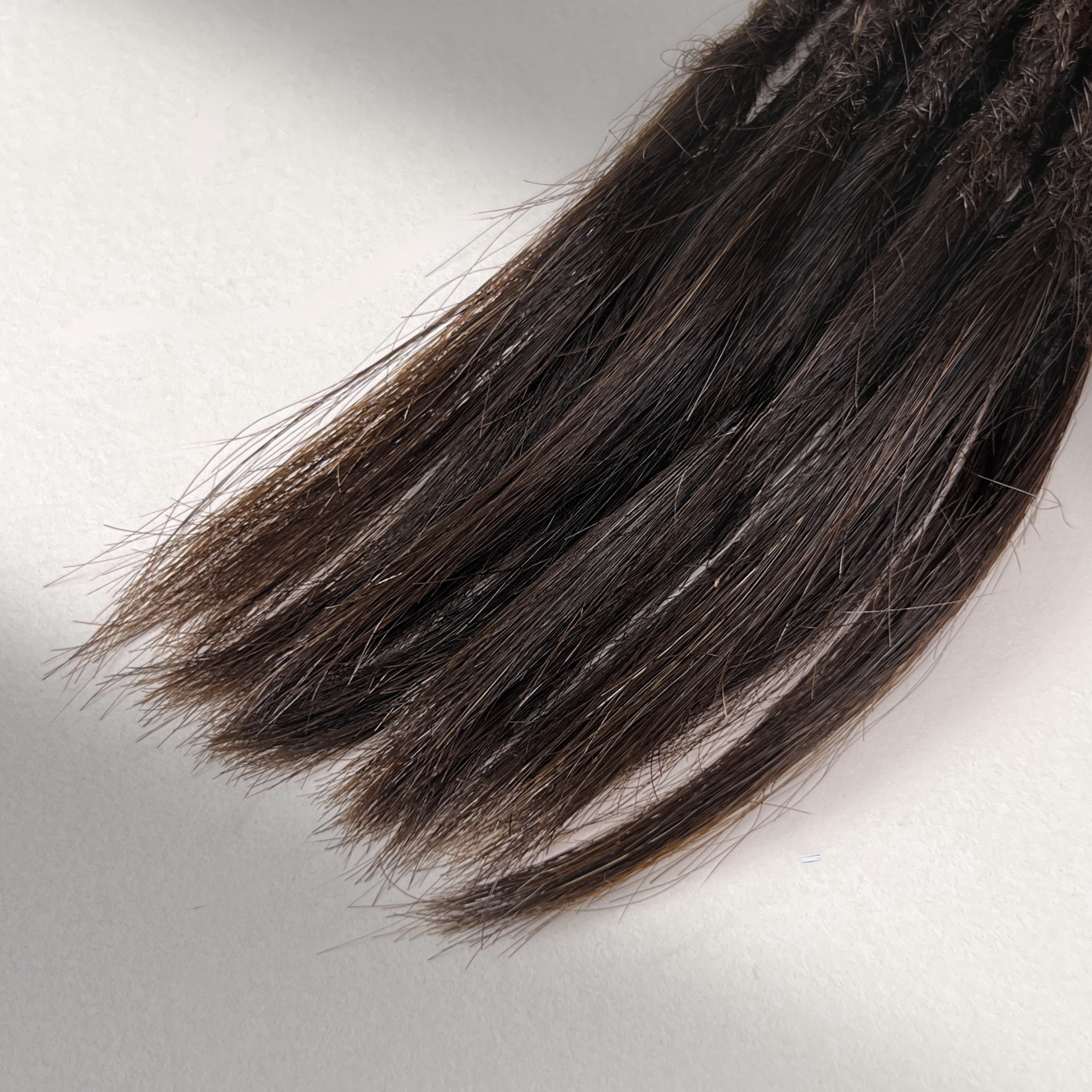 Straight Locs | Burnt Sugar