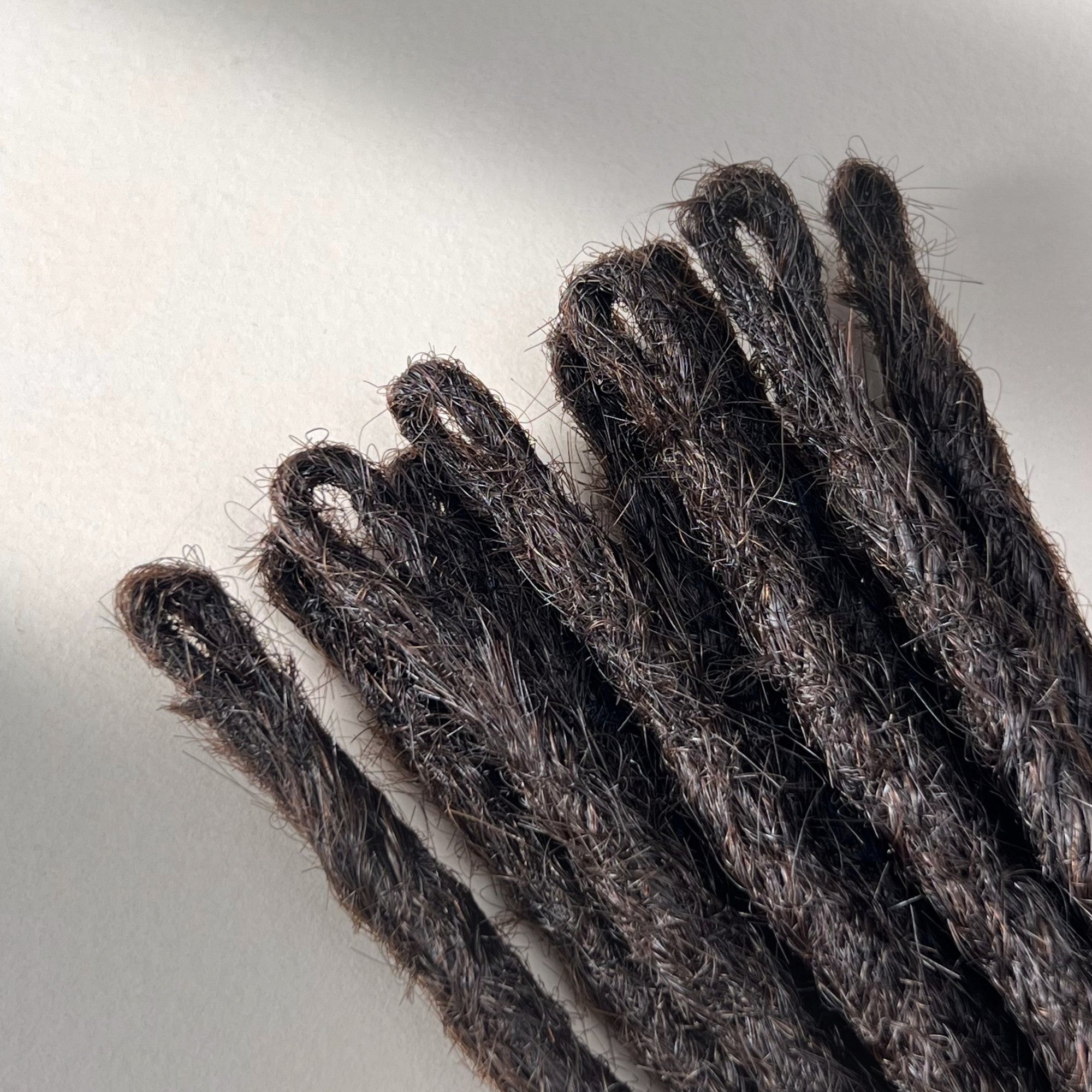 Straight Locs | Morion