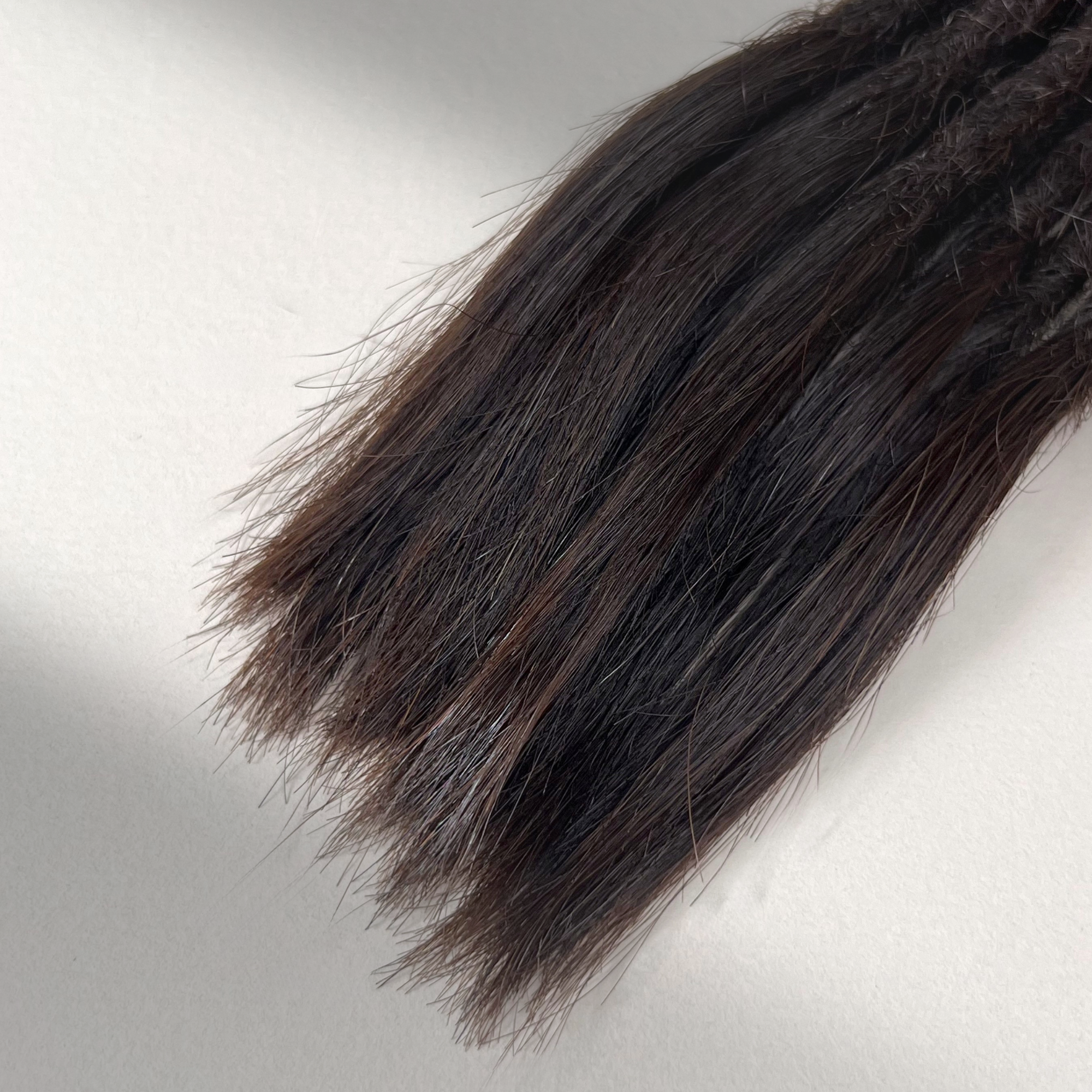 Straight Locs | Morion