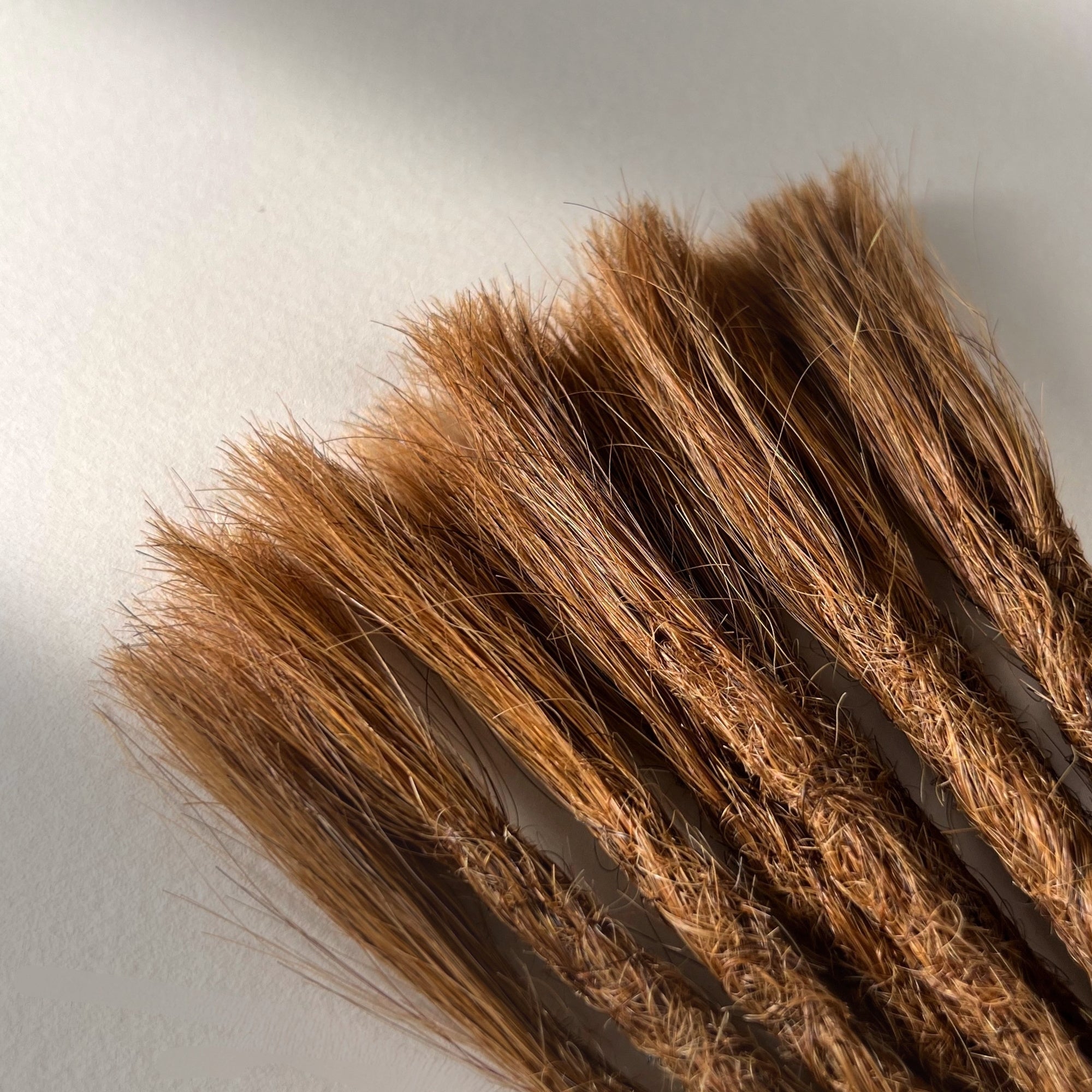 Straight Locs | Rufous 7H | Open Ends