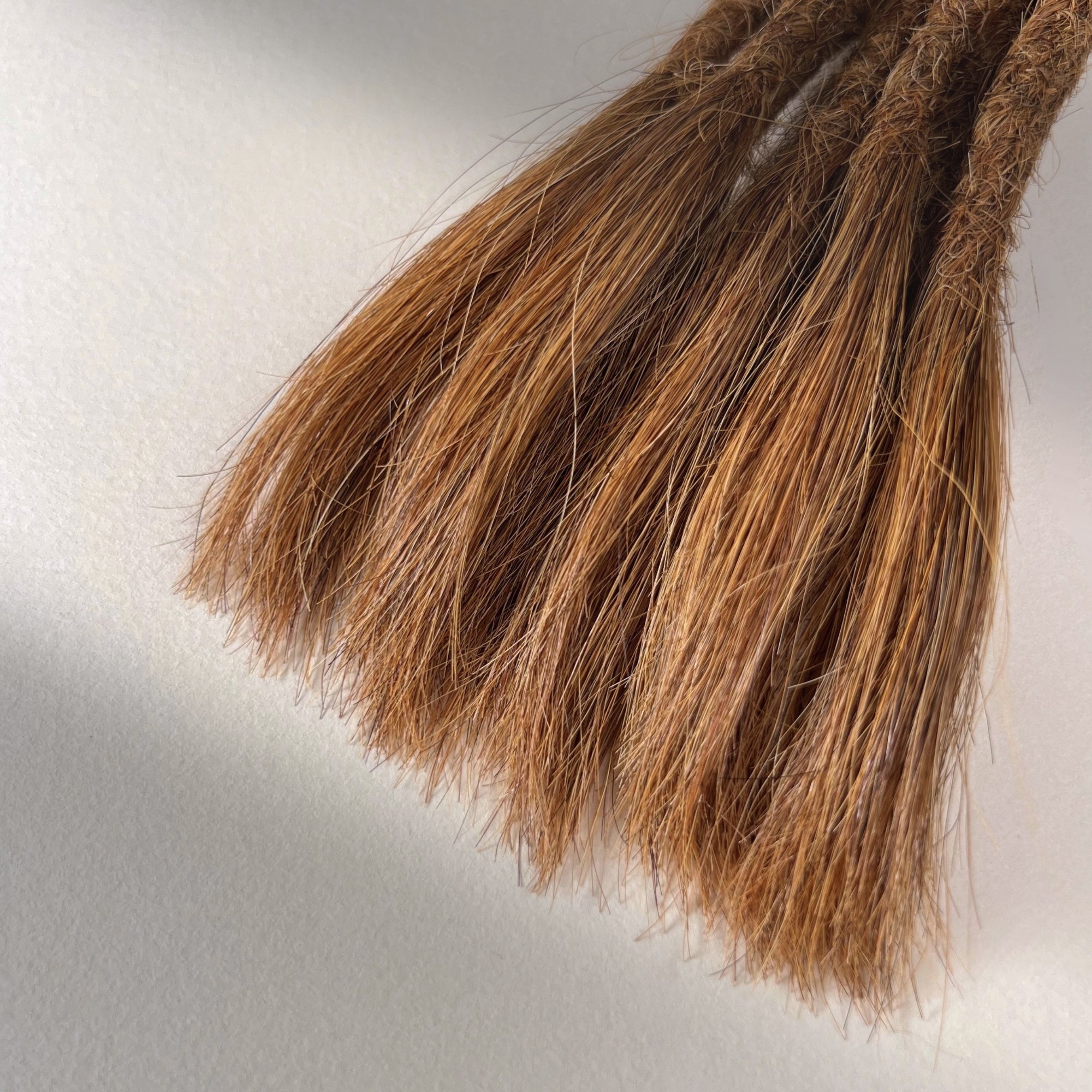Straight Locs | Rufous 7H | Open Ends