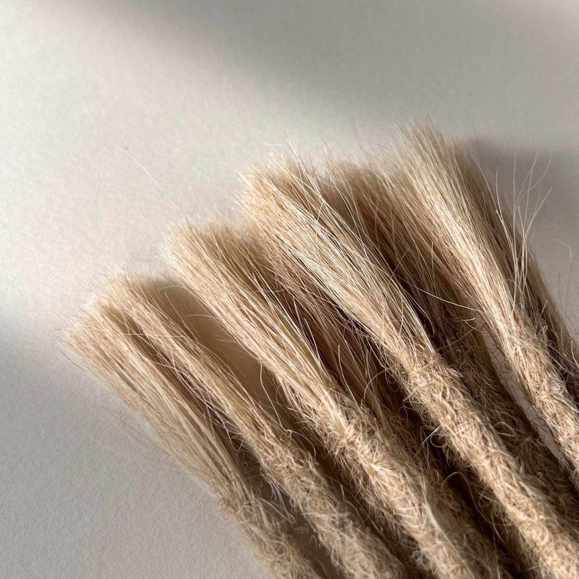 Straight Locs | Oat Milk