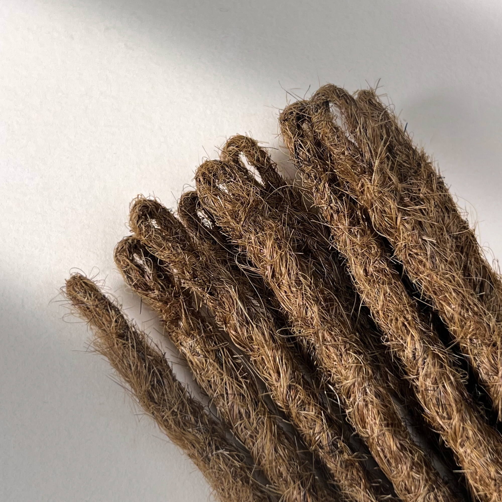 Straight Locs | Iroko