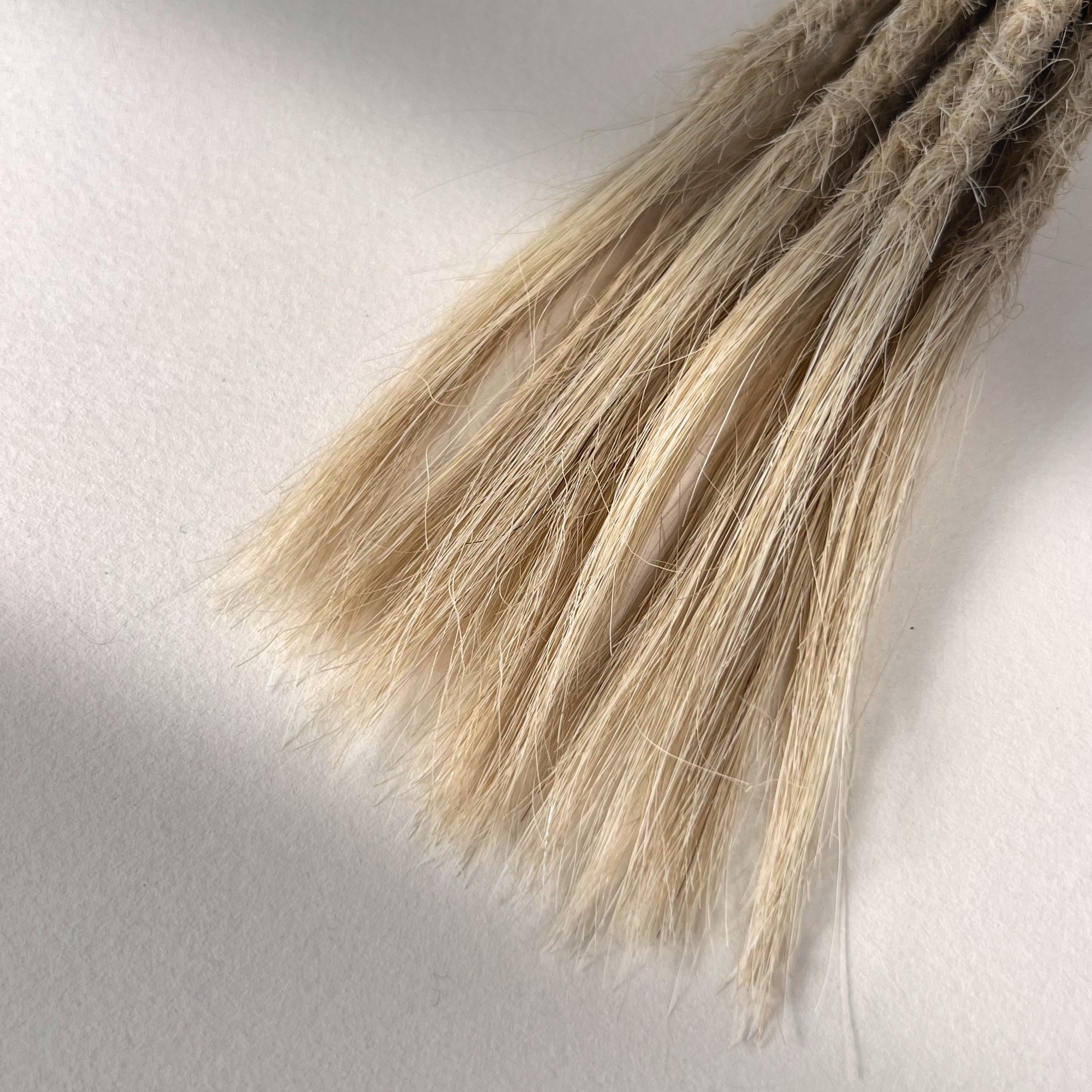 Straight Locs | Oat Milk