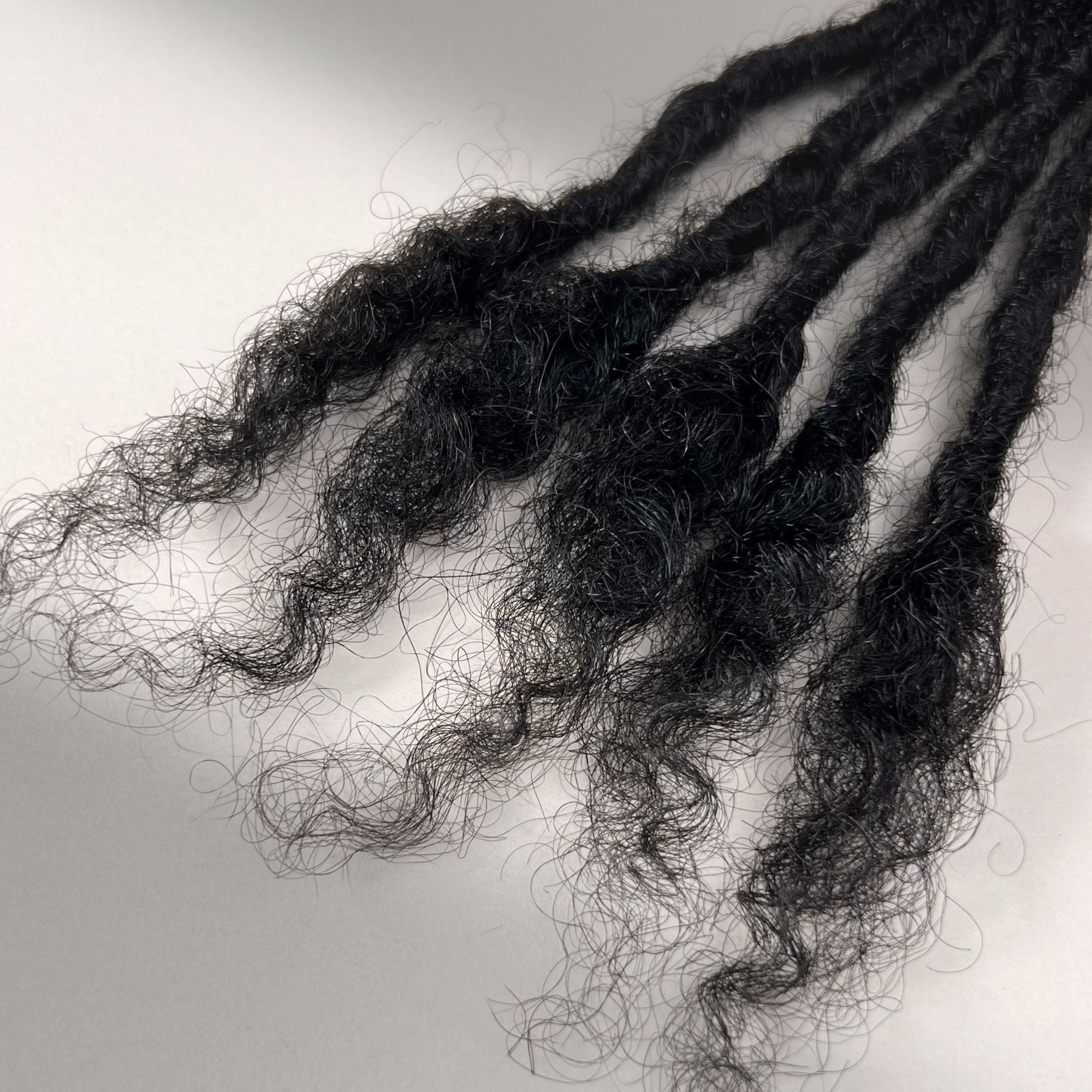 Kinky Locs | Natural Black | Open Ends