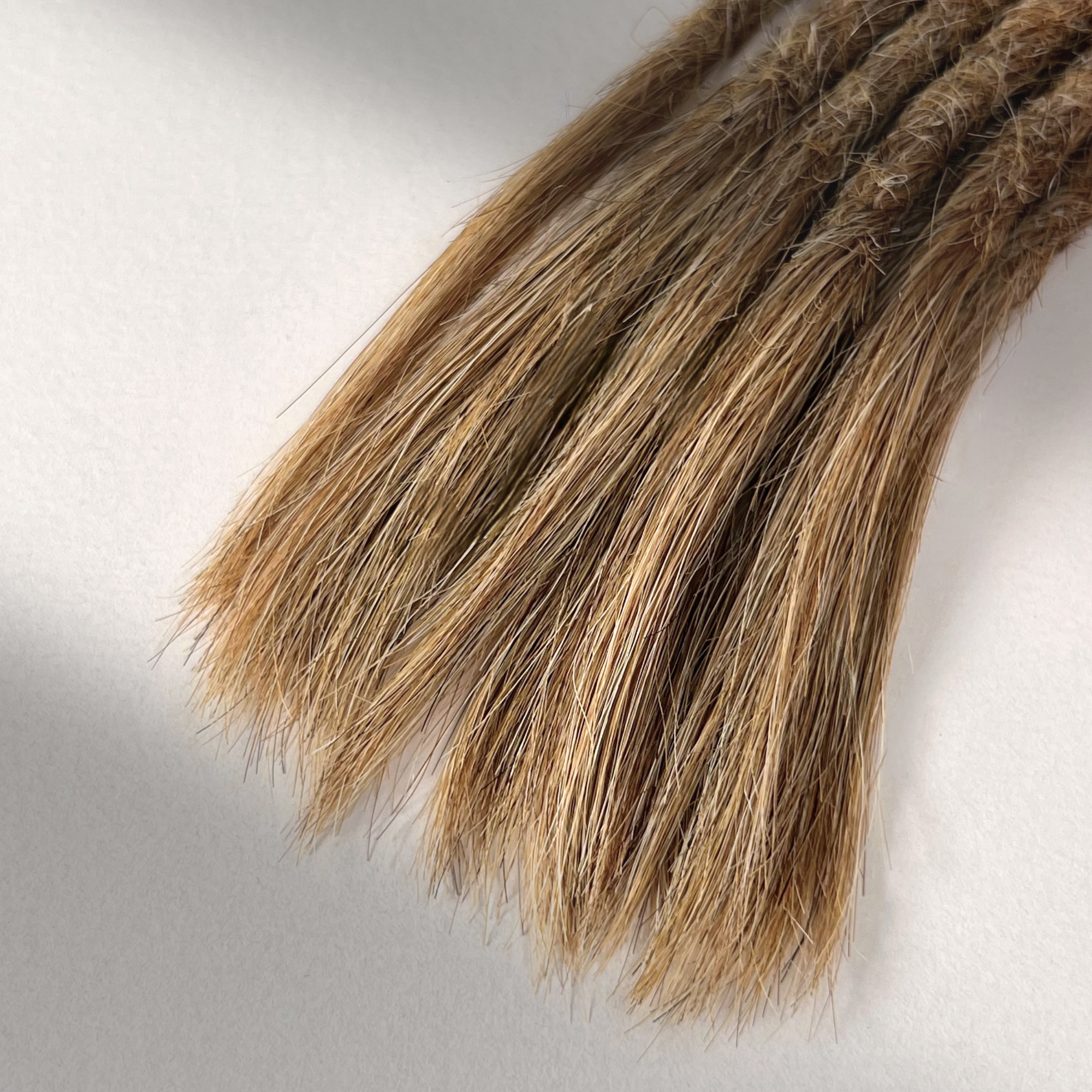 Straight Locs | Hourglass