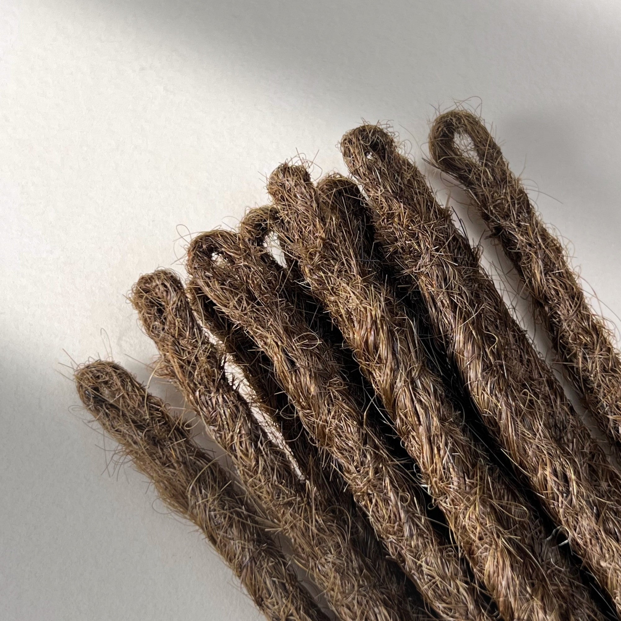 Straight Locs | Wild