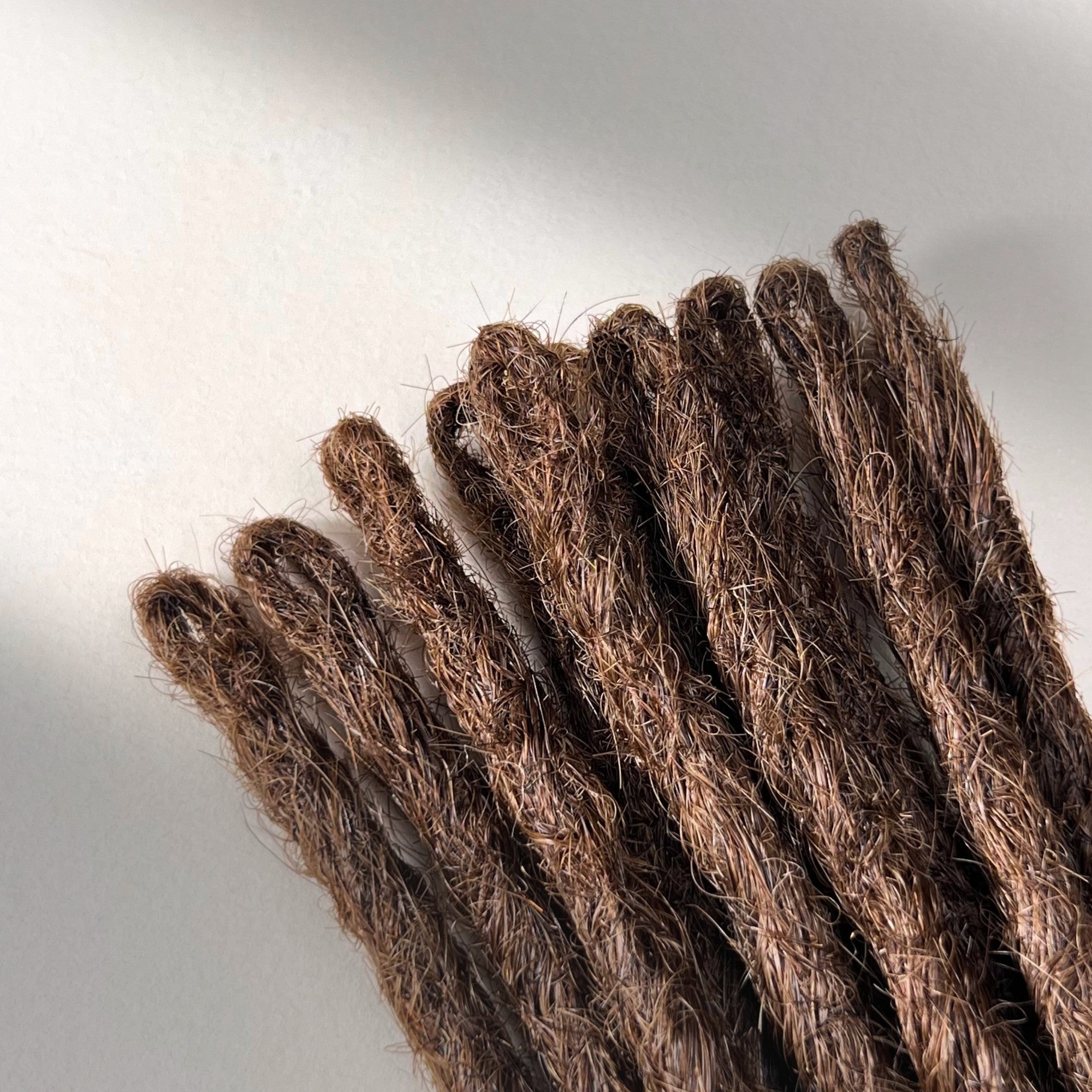 Straight Locs | Spicy Cinnamon