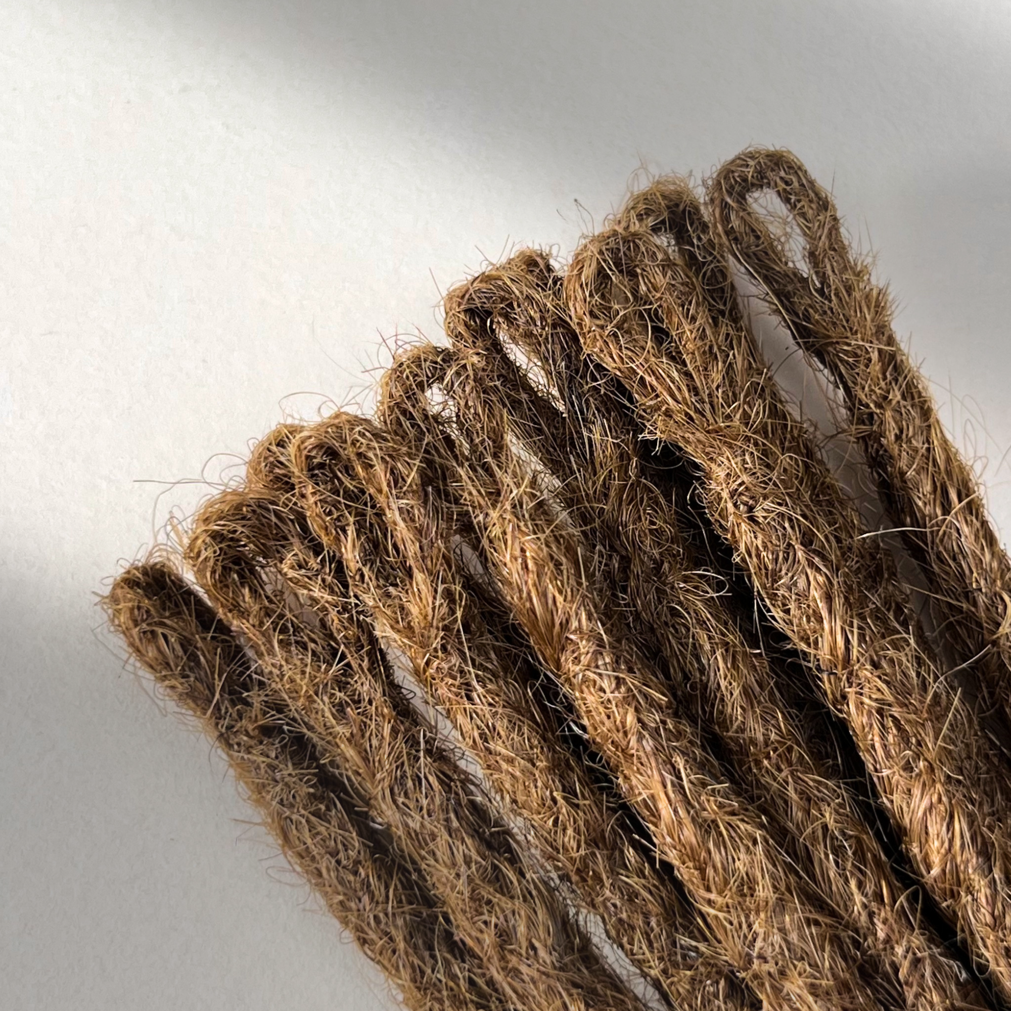 Straight Locs | Tiger Oak