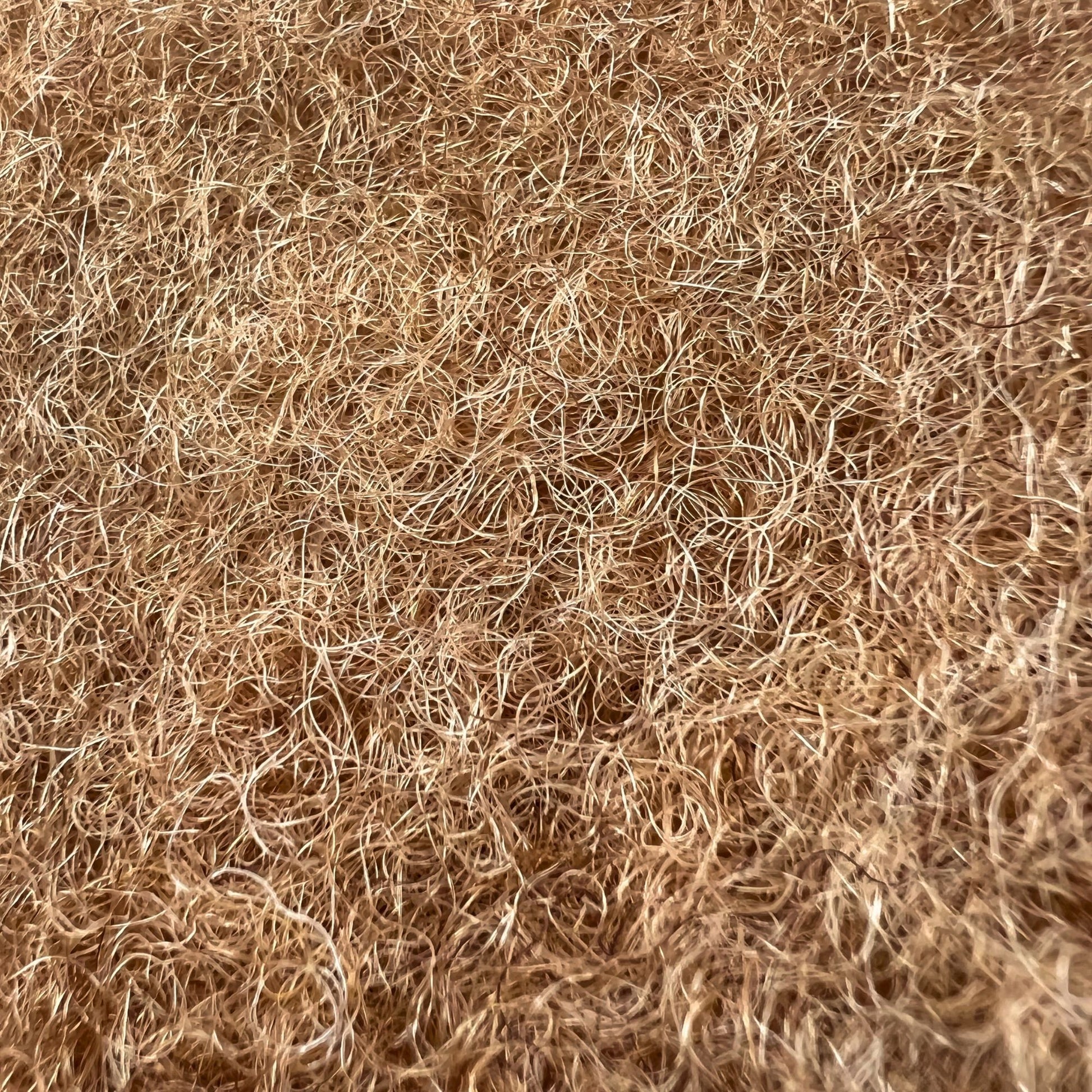 Close-up of honey blonde kinky human hair for Loc Extensions