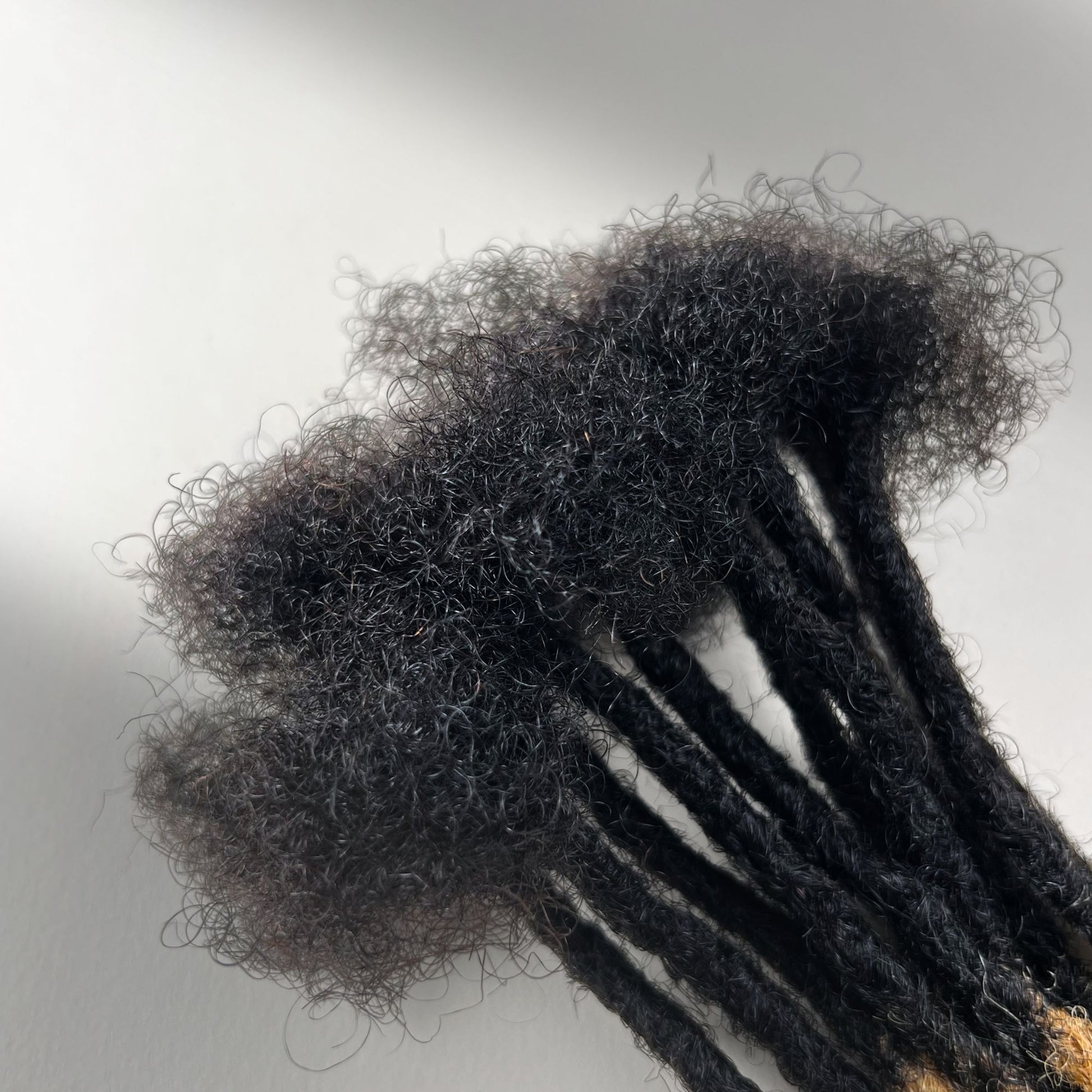 Close-up of the connection point on Honey Blonde Ombre kinky human hair loc extensions.