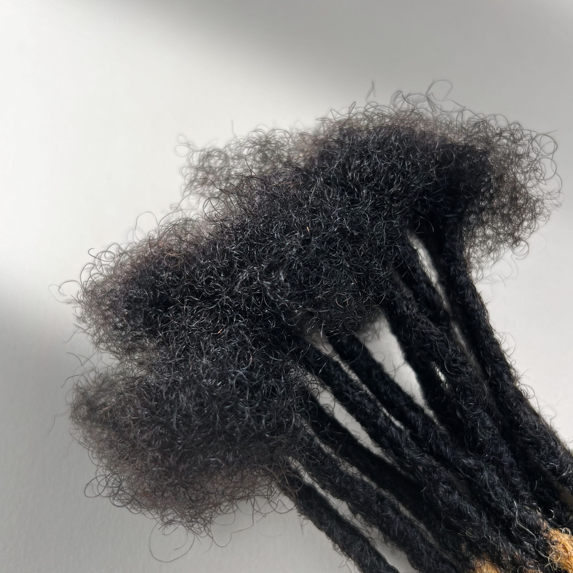 Close-up of the connection point on Honey Blonde Ombre kinky human hair loc extensions.