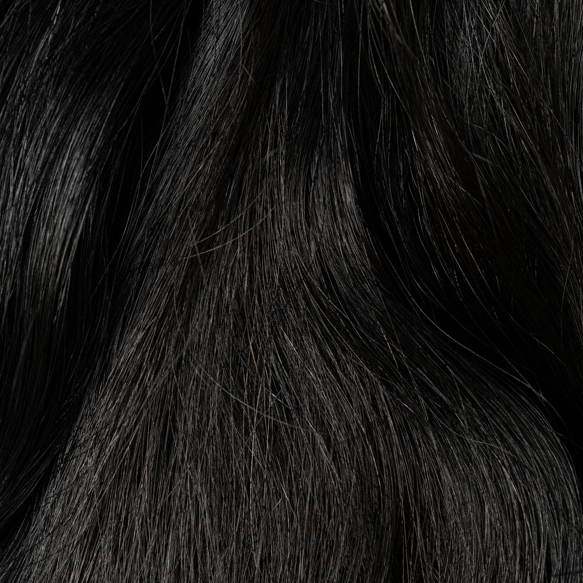 Straight Hair | Raven's Wing