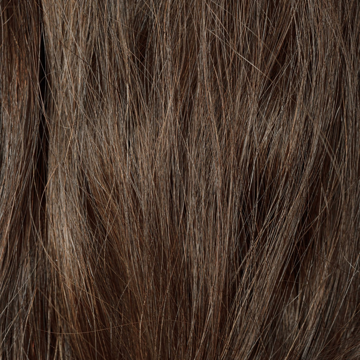 Straight Hair | Wild