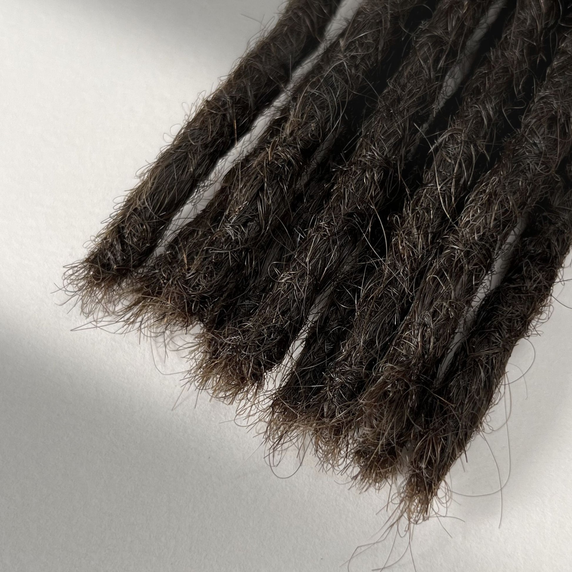 Tip detail of straight loc extensions with blunt ends in Dark Wenge Brown.