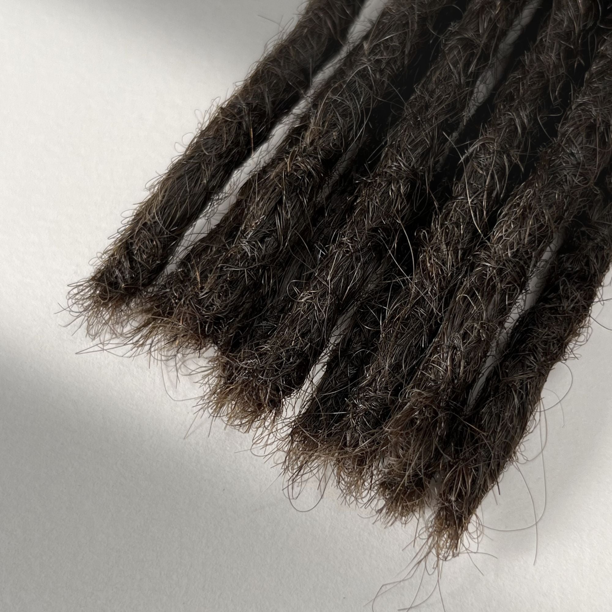 Tip detail of straight loc extensions with blunt ends in Dark Wenge Brown.