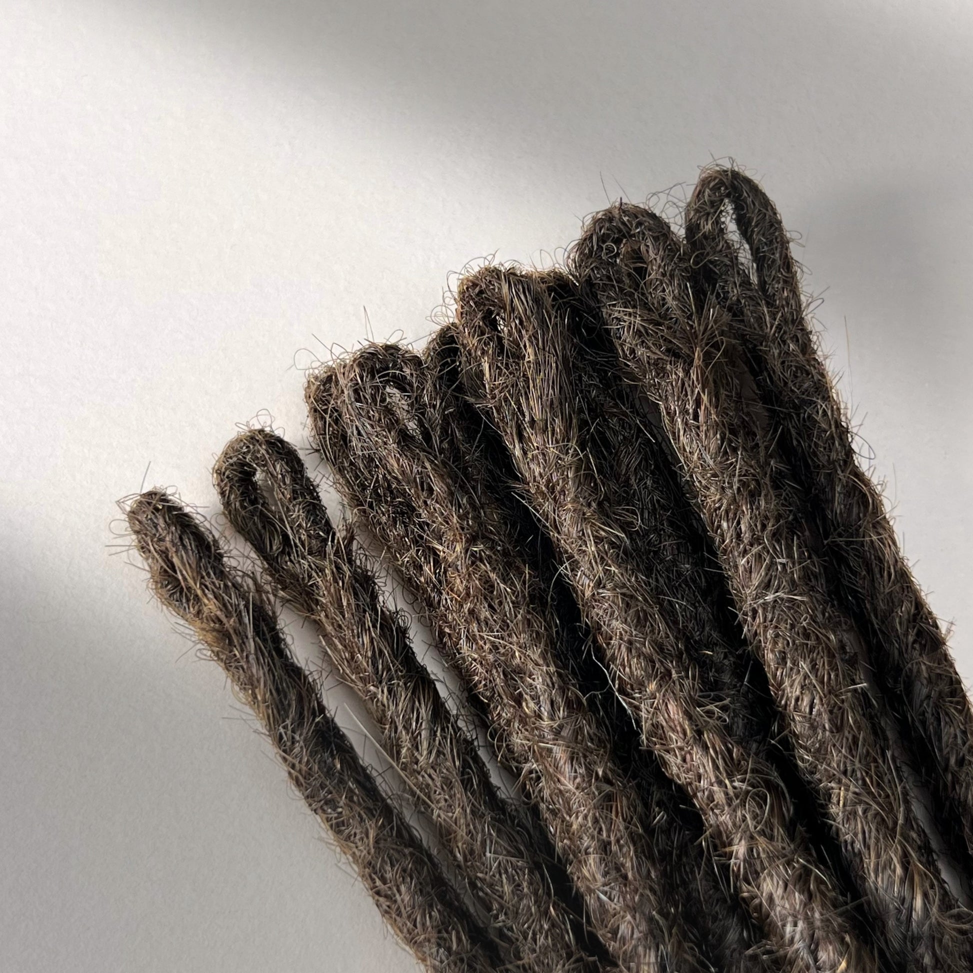 Loop detail of temporary single-ended straight loc extensions with open ends in Dark Wenge Brown.