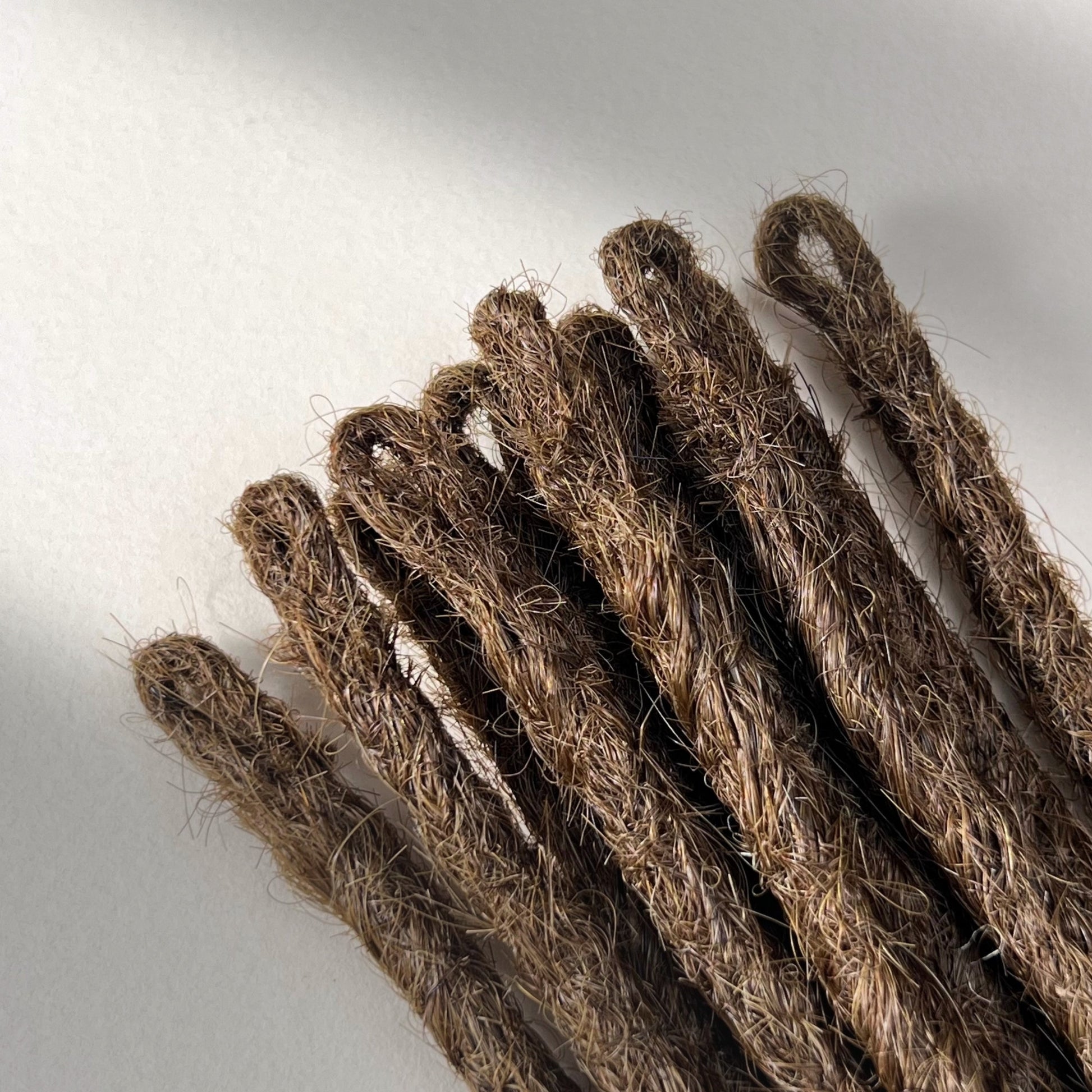 Loop detail of temporary single-ended straight loc extensions in Medium Brown.