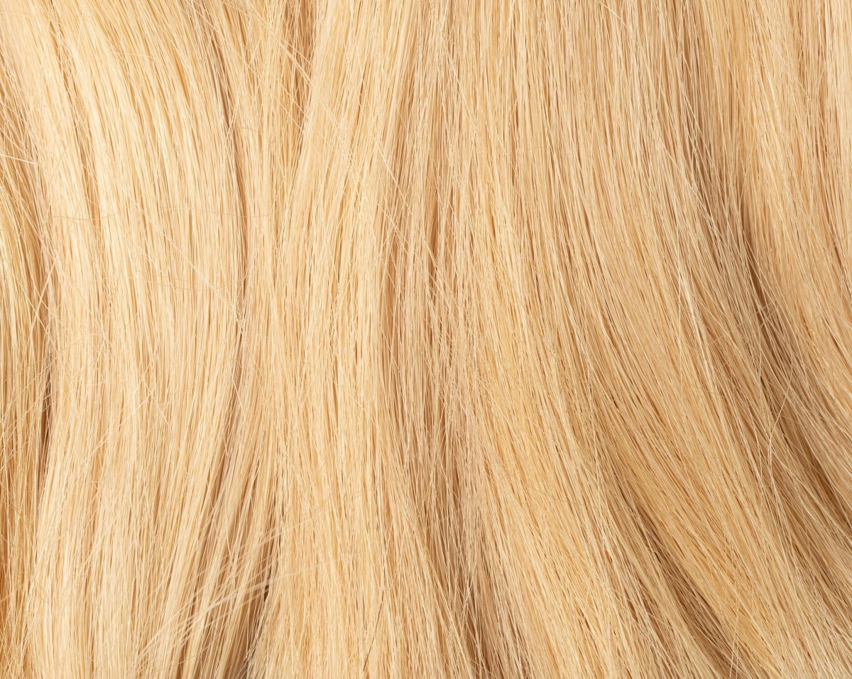Natural hair Kit 10/00 Natural Platinum Blonde - Dreadradar