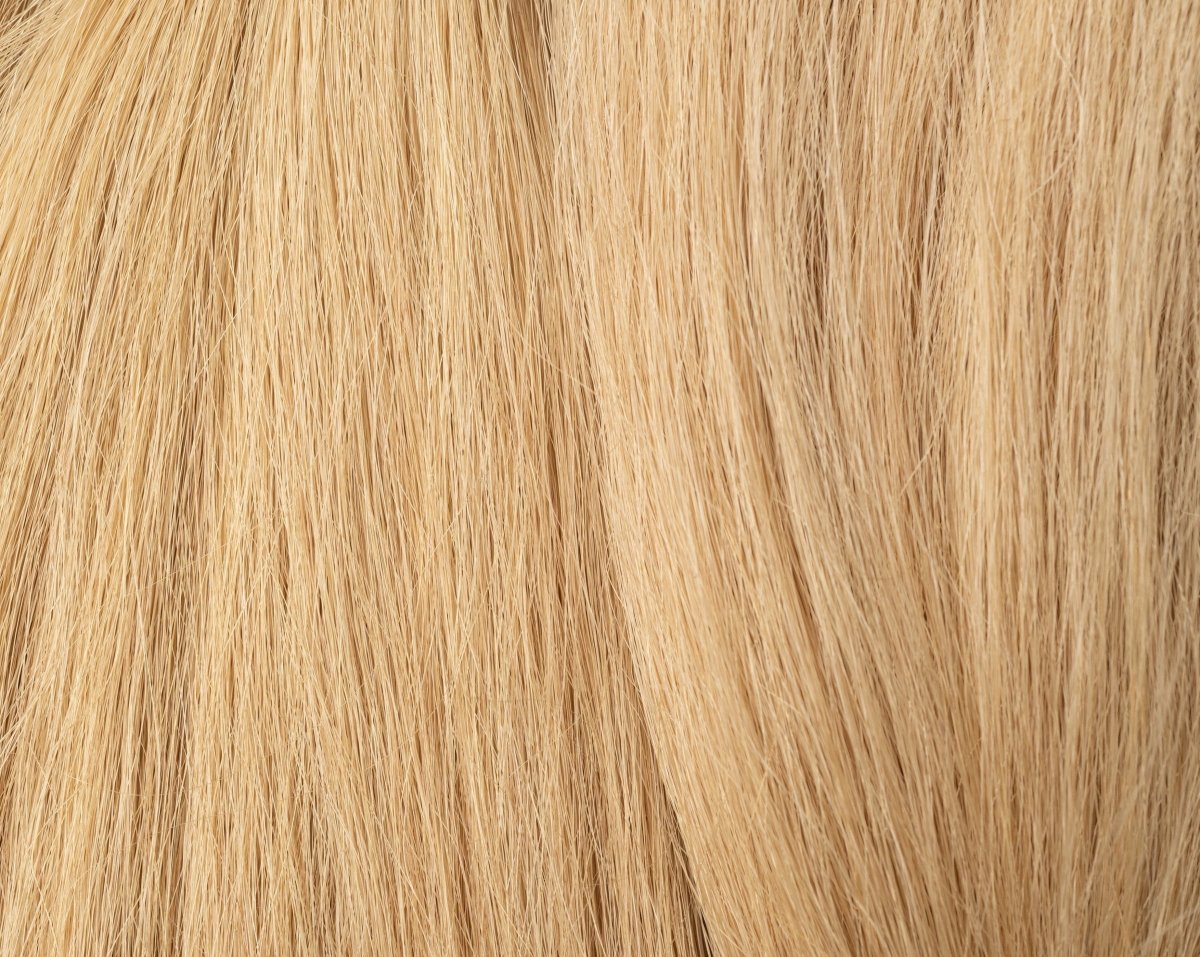 Natural hair Kit 10/1 Very light Blonde Ash - Dreadradar