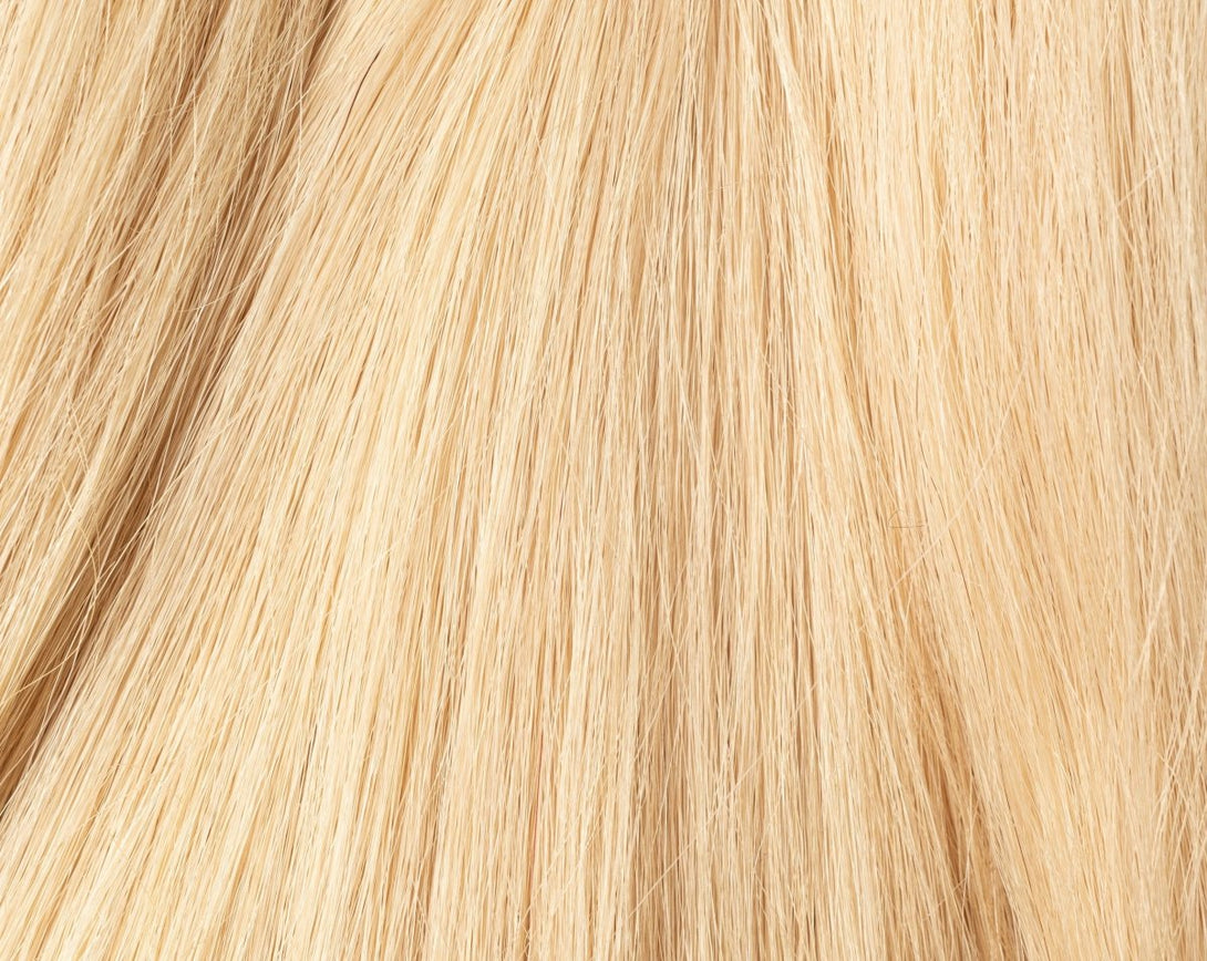 Natural hair Kit 10/16 Very Light Blonde Lightening Ash Purple - Dreadradar