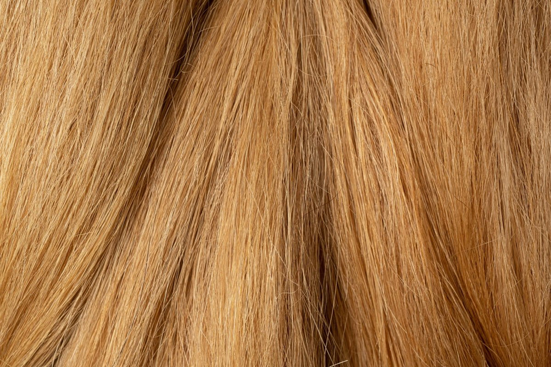 Natural hair Kit 9/31 Very Light Blonde Gold Ash - Dreadradar